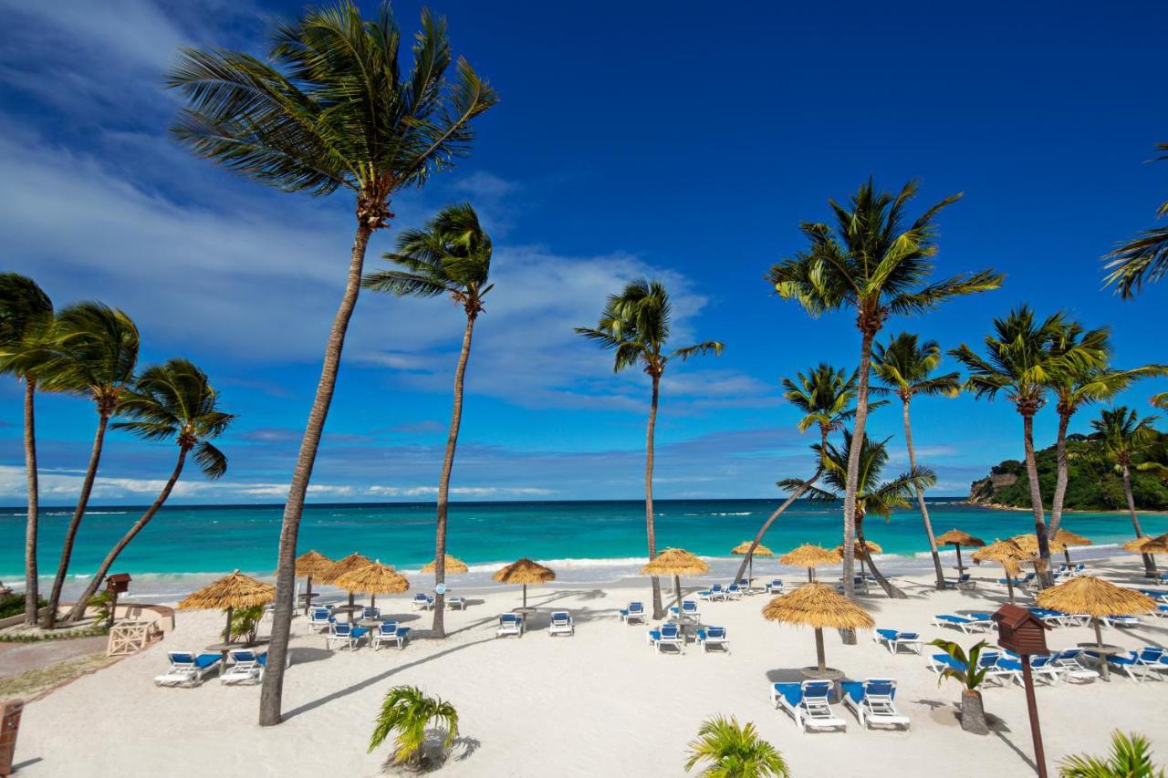 Pineapple Beach Club (Adults Only) Long Bay Luaran gambar